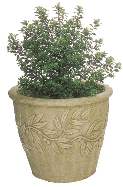 #2838 Olympus Pot - Large