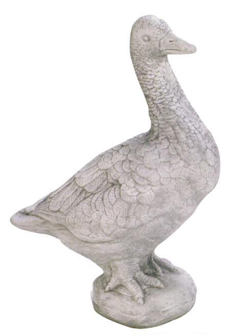 #159 Goose - Head Up